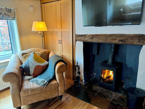 Smart TV, fireplace, books, music library