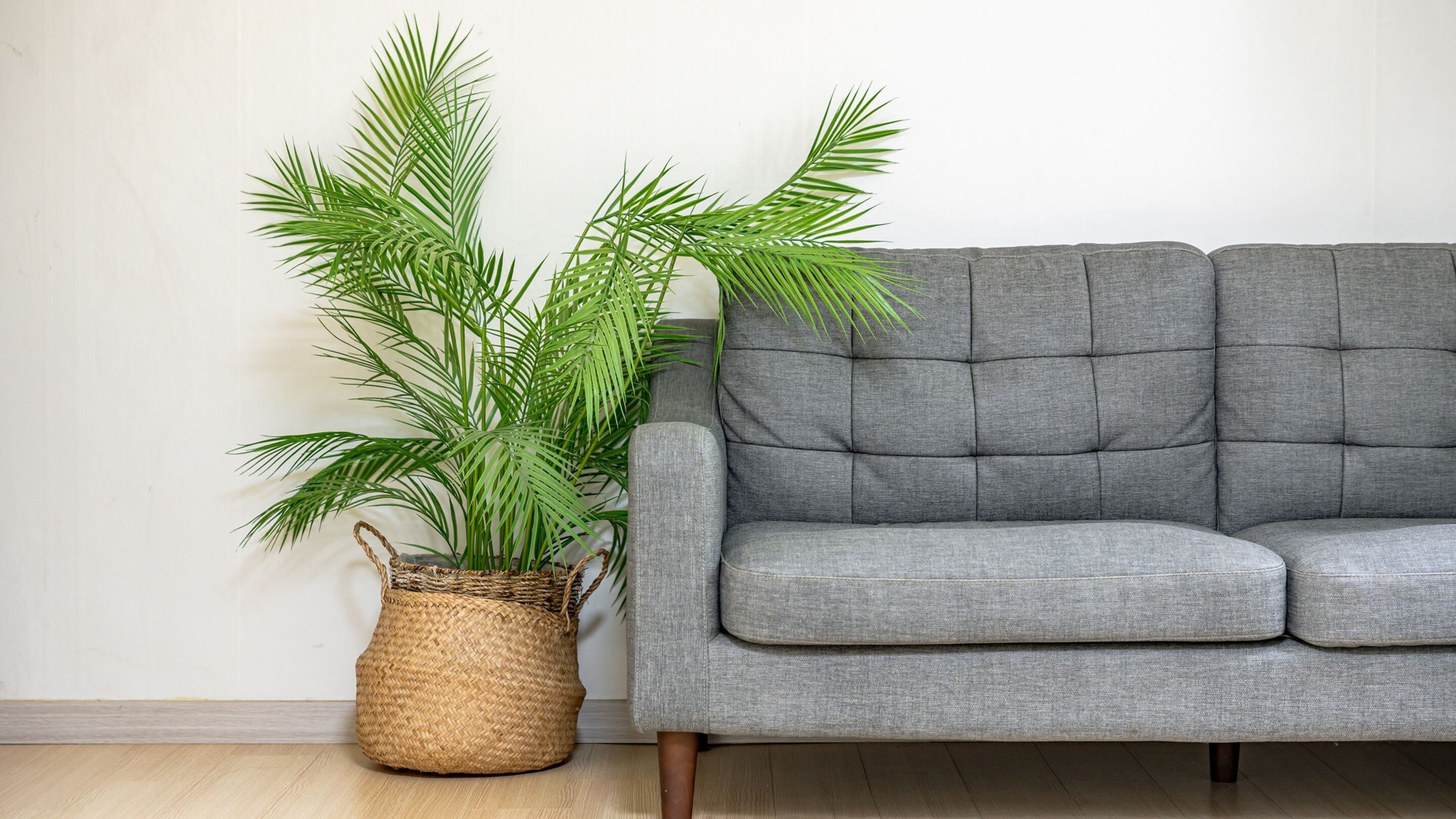 基础客房, 1 间卧室 (Room 203 (Pet / BBQ)) | 1 多间卧室、免费 WiFi