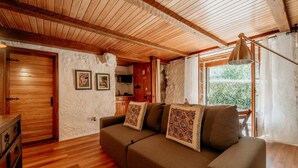 A cozy living room with a wooden ceiling, a sofa with patterned cushions, a wooden cabinet, and a view of the outdoors through a window. - Alojamento T1 Gerês-Junto ao Rio (São Miguel)