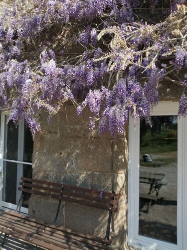 Cherry Tree Avenue gite, 2 ensuite bedrooms with salon and kitchen.