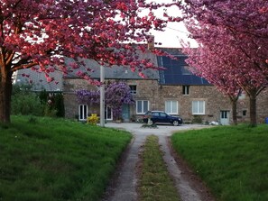 Esterni