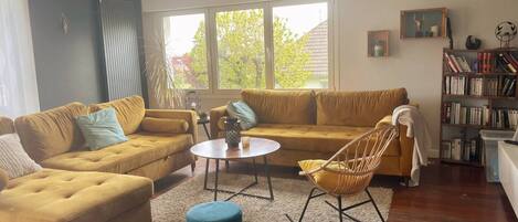 Smart TV, DVD player, books, music library