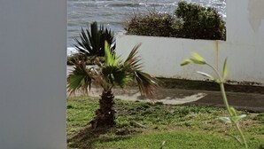 A coastal view with a white building, a palm tree, and a clear sky. - Beautiful house 30 meters from the sea (Almonte)