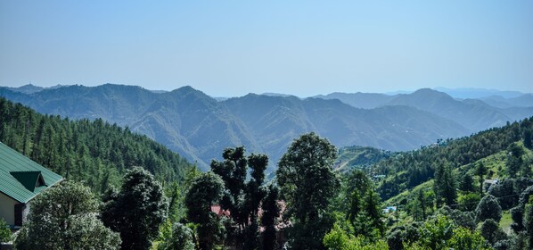 A mountainous landscape with dense forests and a building with a green roof. - Dogri Homes (Shimla)