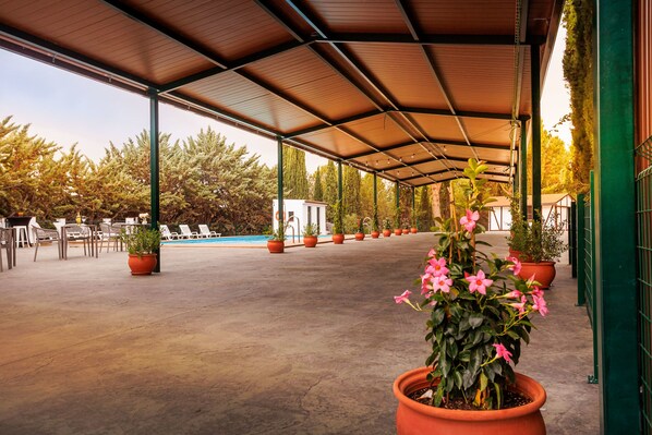 A covered outdoor area with a pool, potted plants, and lounge chairs.