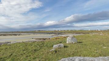 Playa en los alrededores