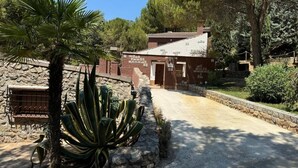Un bâtiment rustique avec un mur en pierre et un palmier au premier plan.