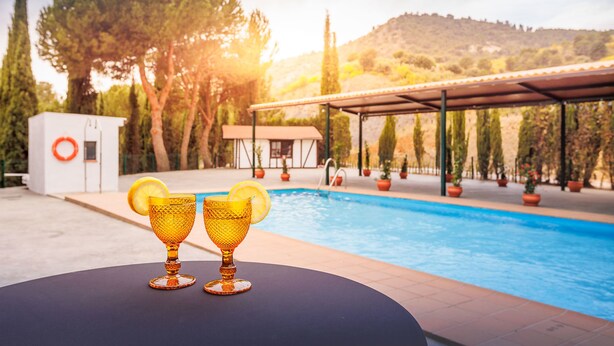 Escena junto a la piscina con dos copas doradas sobre una mesa, rodeada de macetas con plantas y una piscina.