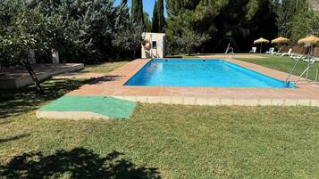 Una piscina rectangular con borde de baldosas, rodeada por un césped y árboles.