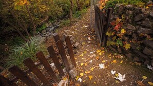 A wooden fence leading into a forested area with a stone wall on one side. - San Acacio Mill - Genil Rural House (Huetor De Santillan)