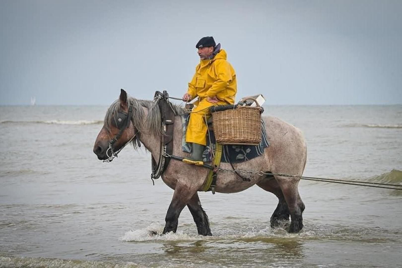 Una persona vestida de amarillo cabalgando un caballo por aguas poco profundas.