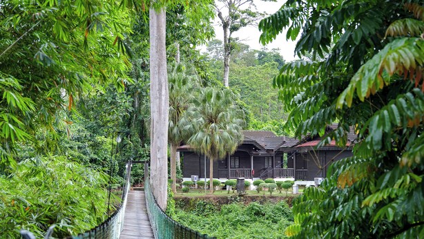 A wooden suspension bridge surrounded by lush greenery and traditional buildings. - Hotel O Asiacamp Resort National Park Kuala Tahan (Kuala Tahan)