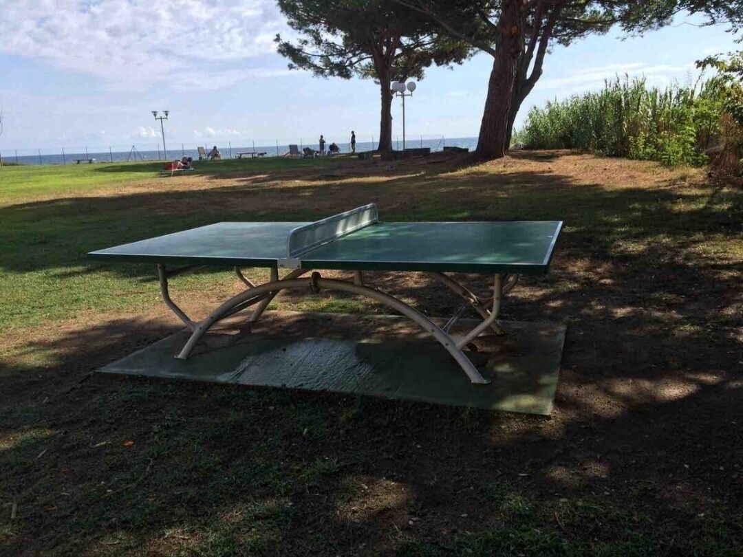 Ein Tischtennis-Tisch in einem Park, umgeben von Gras und Bäumen.