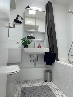 Hair dryer, towels, soap, toilet paper