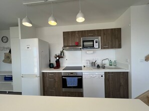 Fridge, microwave, oven, dishwasher