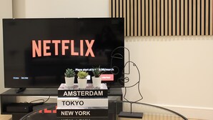 Ein Fernseher mit Netflix-Logo, davor ein Beistelltisch mit Pflanze und Büchern.