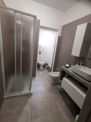 Regadera, secadora de cabello, bidet, toallas 