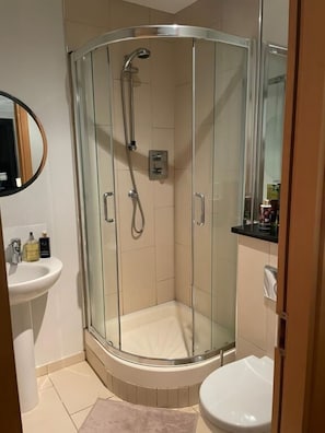 Shower, hair dryer, towels, soap - Luxurious Penthouse in the heart of Dublin (Dublin)