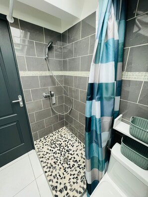 Shower, hair dryer, towels, toilet paper