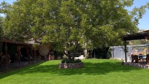 Un prato curato con un albero grande al centro, circondato da un patio con posti a sedere all'aperto.