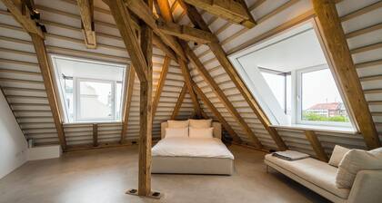 Scandinavian Calm Meets Latin Soul – Schwabing Retreat with Frauenkirche Views