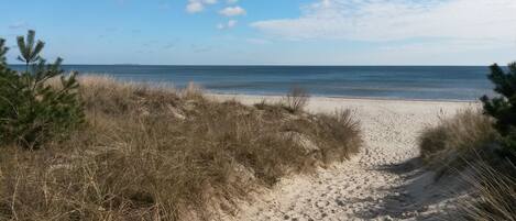 On the beach