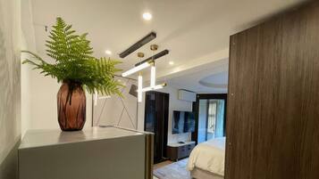 A modern bedroom with a large bed, a TV, and a plant in a vase.
