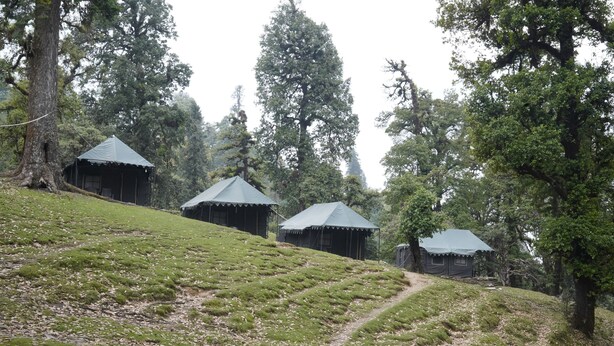 A series of rustic cabins nestled in a forested hillside with a dirt path leading through the area. - The Little Pahadi (Ukhimath)