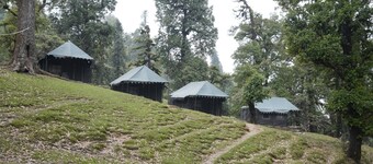 เดอะ ลิตเติล ปาฮาดี  