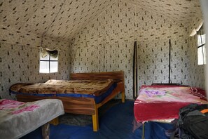 Tenda de campanya Deluxe | Escriptori i wifi gratuïta 