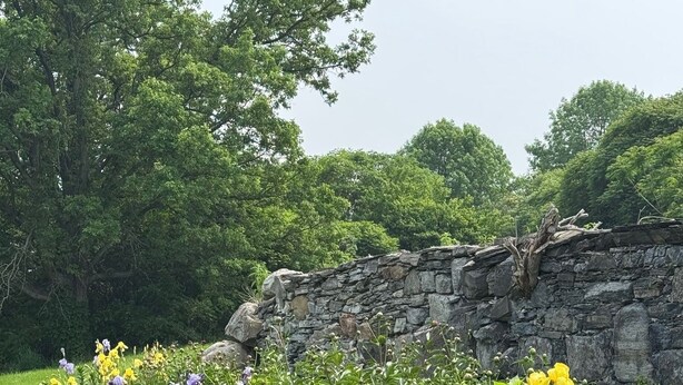 Ein Garten mit verschiedenen Blumen und einer Steinmauer.