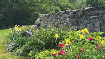 Jardin