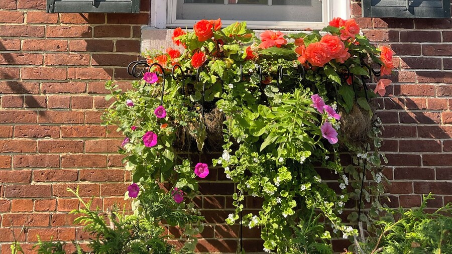 Dodds Brick House Bed & Breakfast