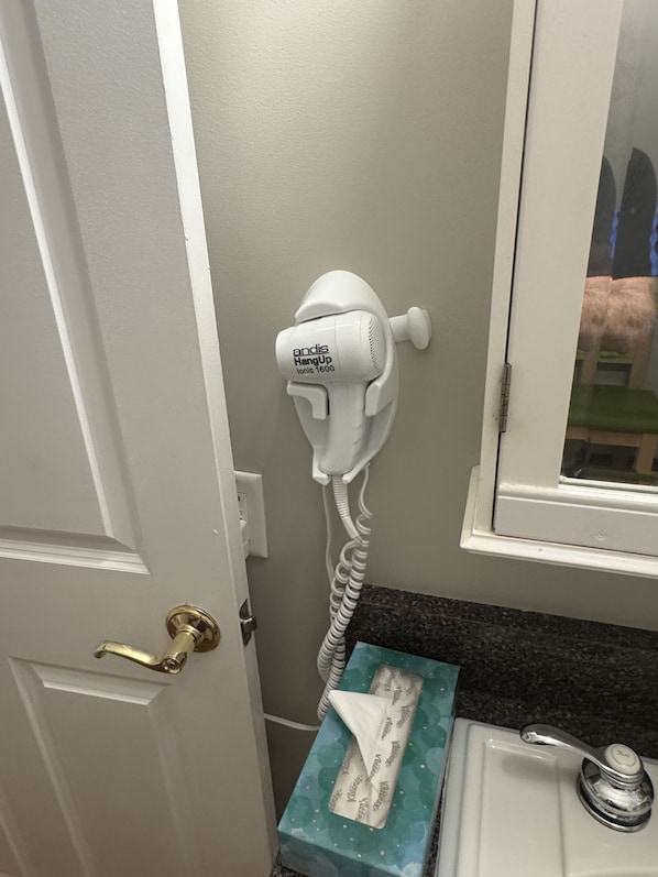 A bathroom with a white hairdryer mounted on the wall, a towel dispenser, and a sink with a faucet. - Dodds Brick House Bed & Breakfast (North Hero)