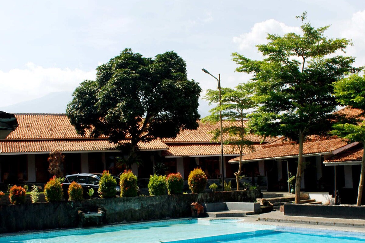 Piscina com deck revestido, cercada por um muro de pedra e vegetação.