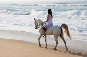 Horseback riding