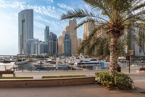 Appartement | 1 chambre