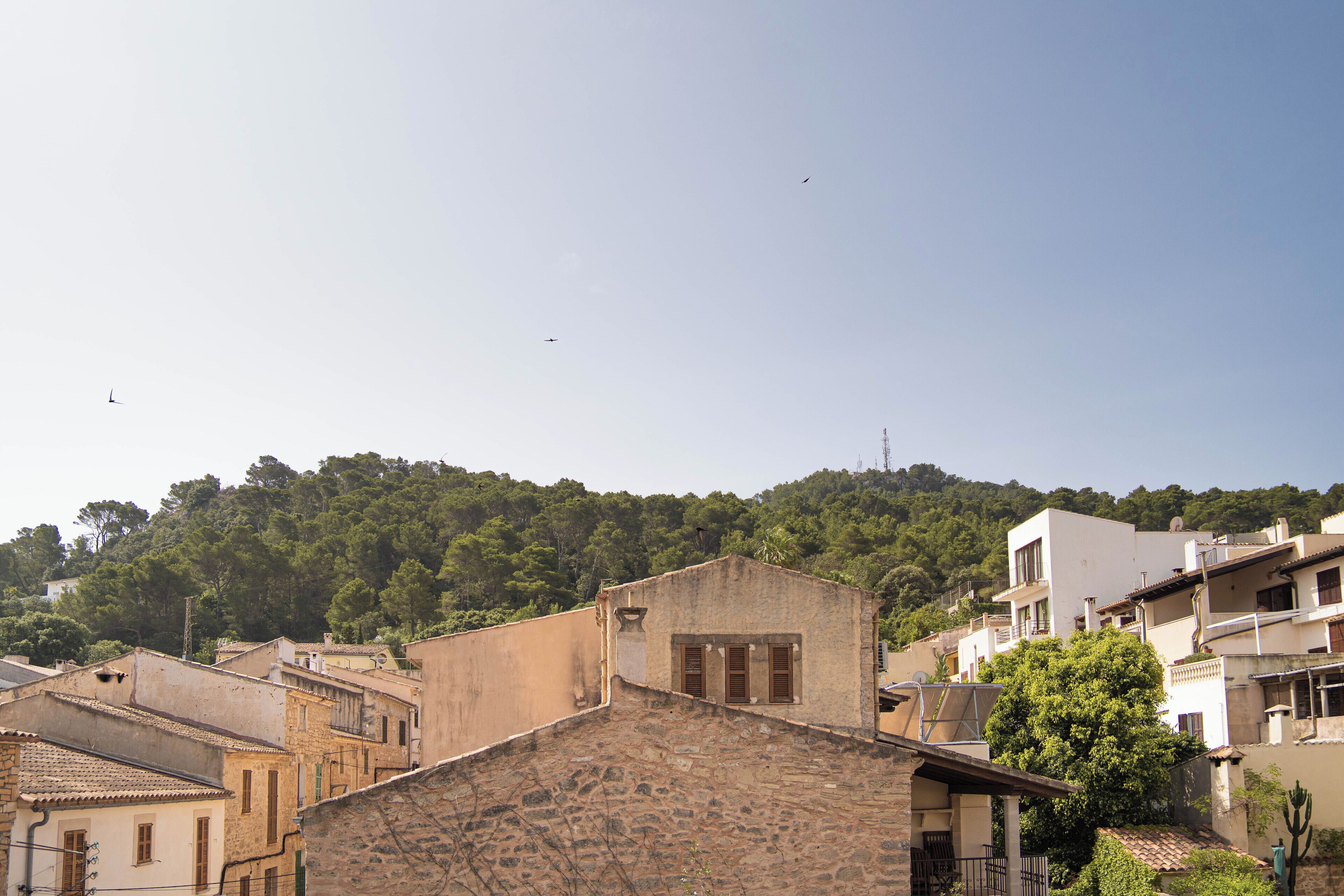A hillside town with stone buildings, a clear sky, and a dense forest in the background.