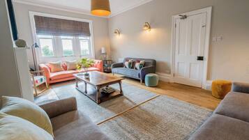 Télévision, cheminée, lecteur de DVD, livres