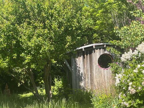 Quirky Self-contained Garden Hut in National Park.  Plant-based Meals Service.