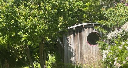 Quirky Self-contained Garden Hut in National Park. Plant-based Meals Service.