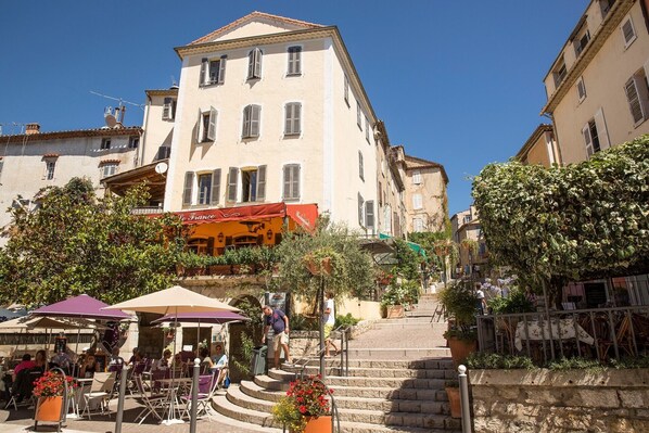 Miscellaneous - French cocoon (Fayence)