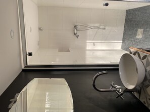 Shower, hair dryer, towels, toilet paper