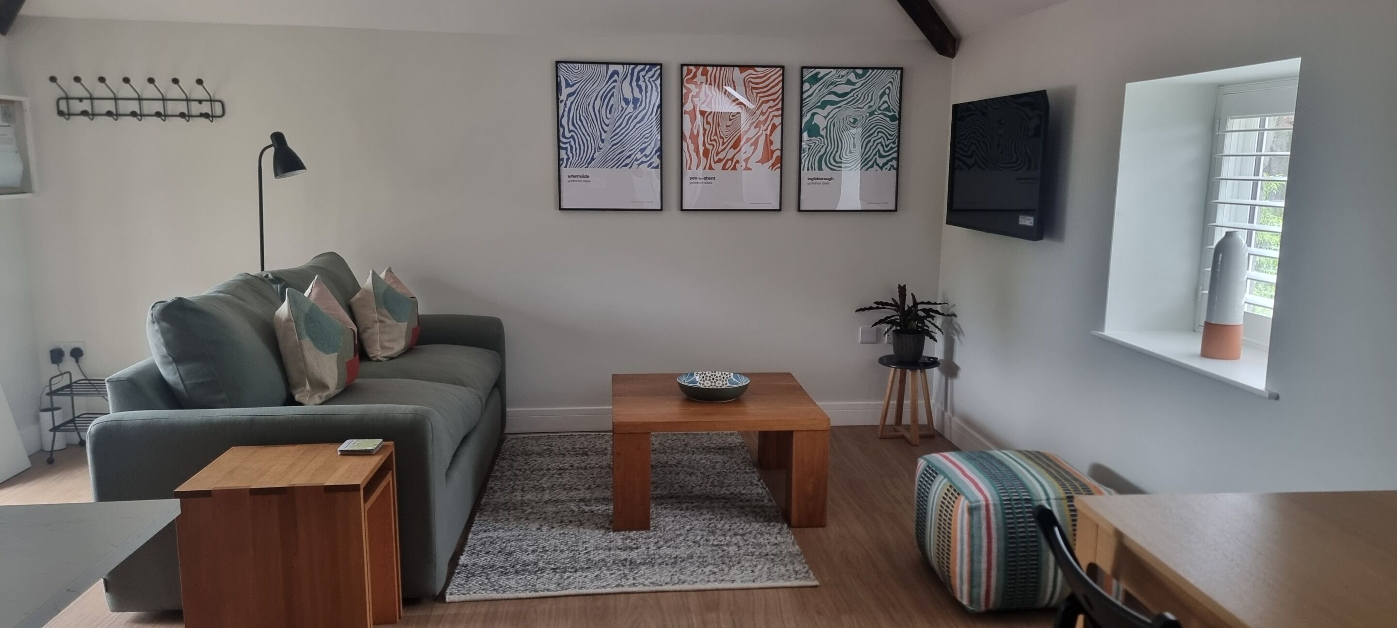 TV, DVD player, books, video library