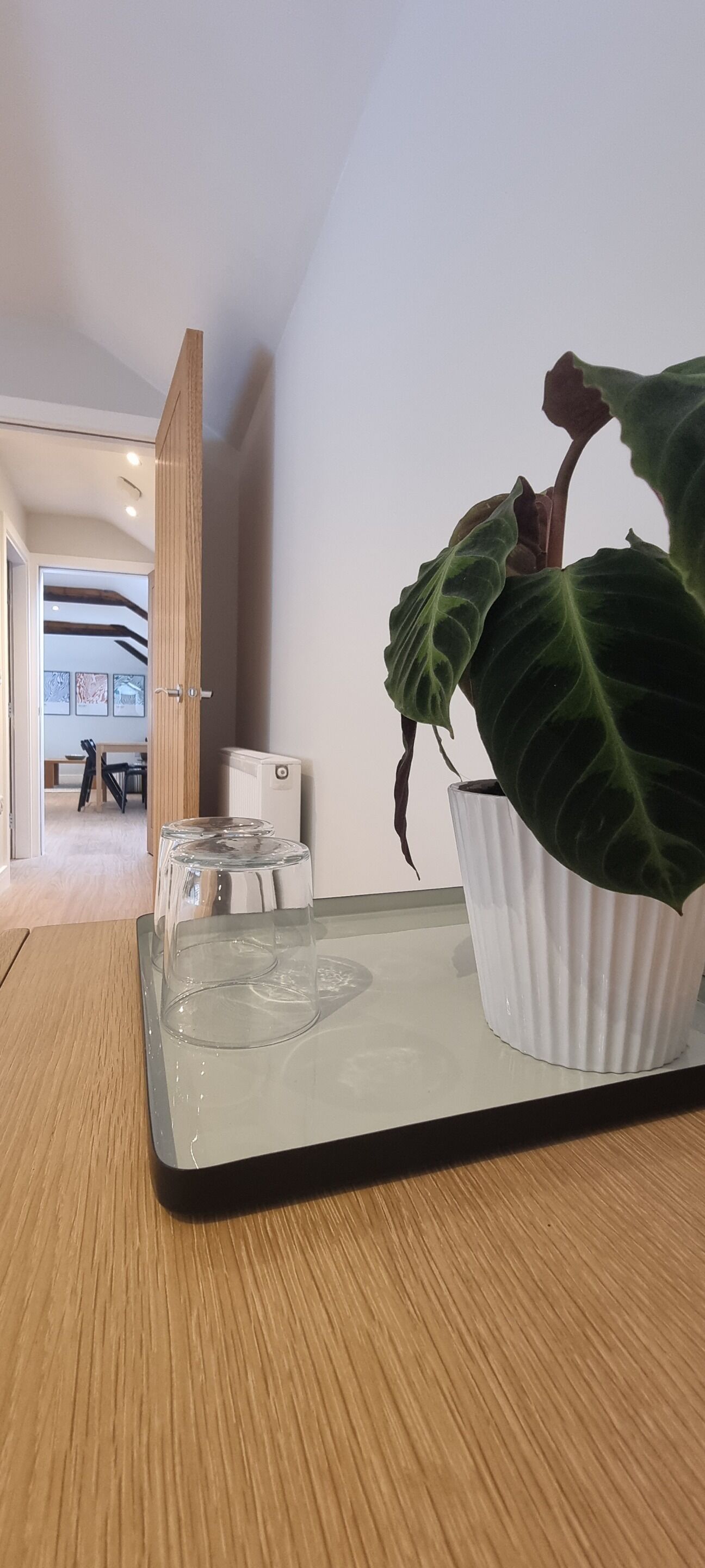 Een moderne kamer met een houten tafel, een potplant en een witte radiator.