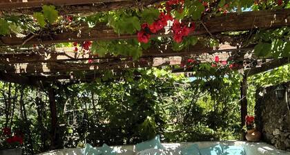 Portuguese Quinta with pool and private garden. Sleeps 6 Tropical paradise!