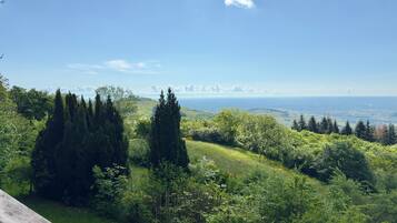 Vista desde la propiedad