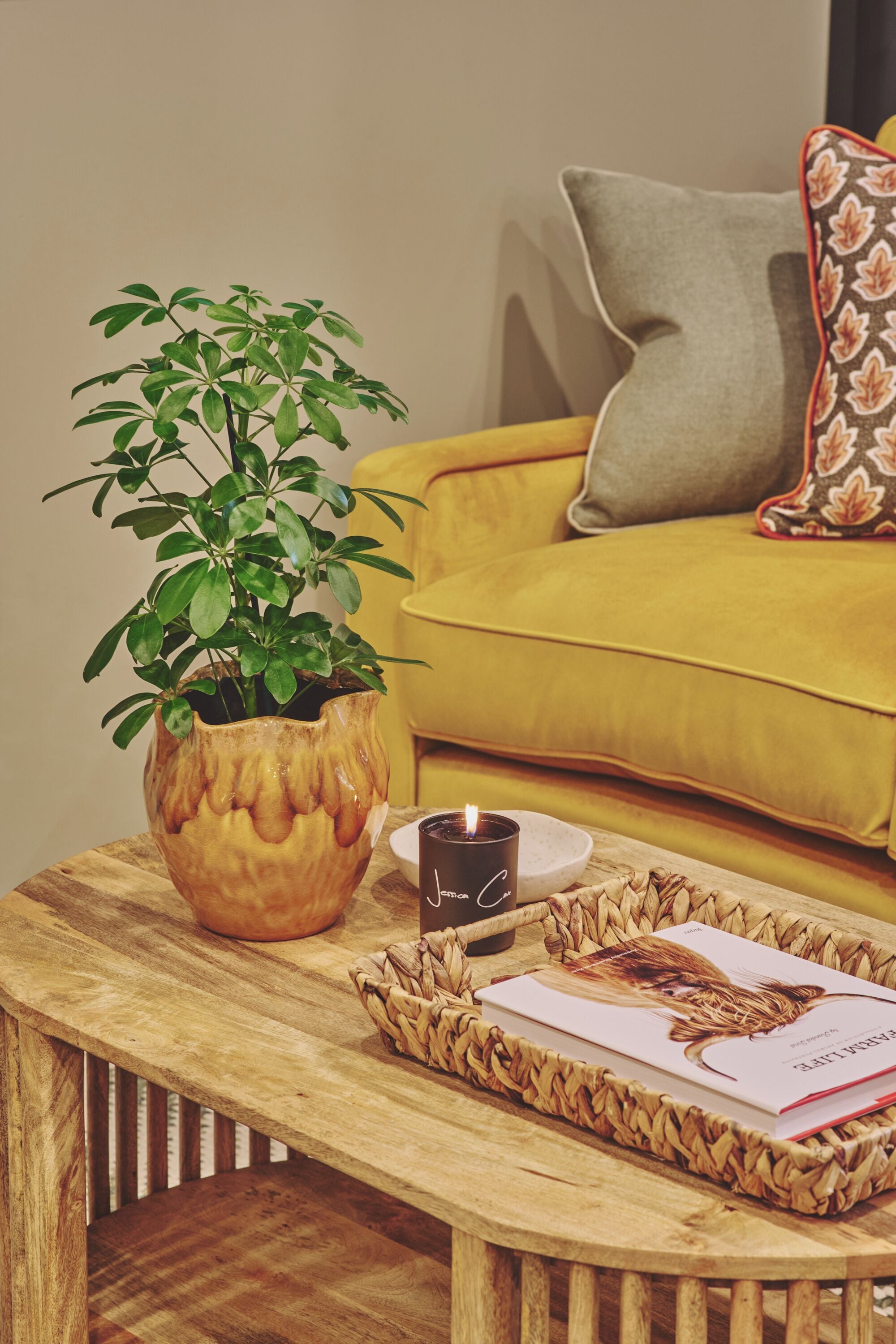 A wooden coffee table with a potted plant, a candle, and a magazine.