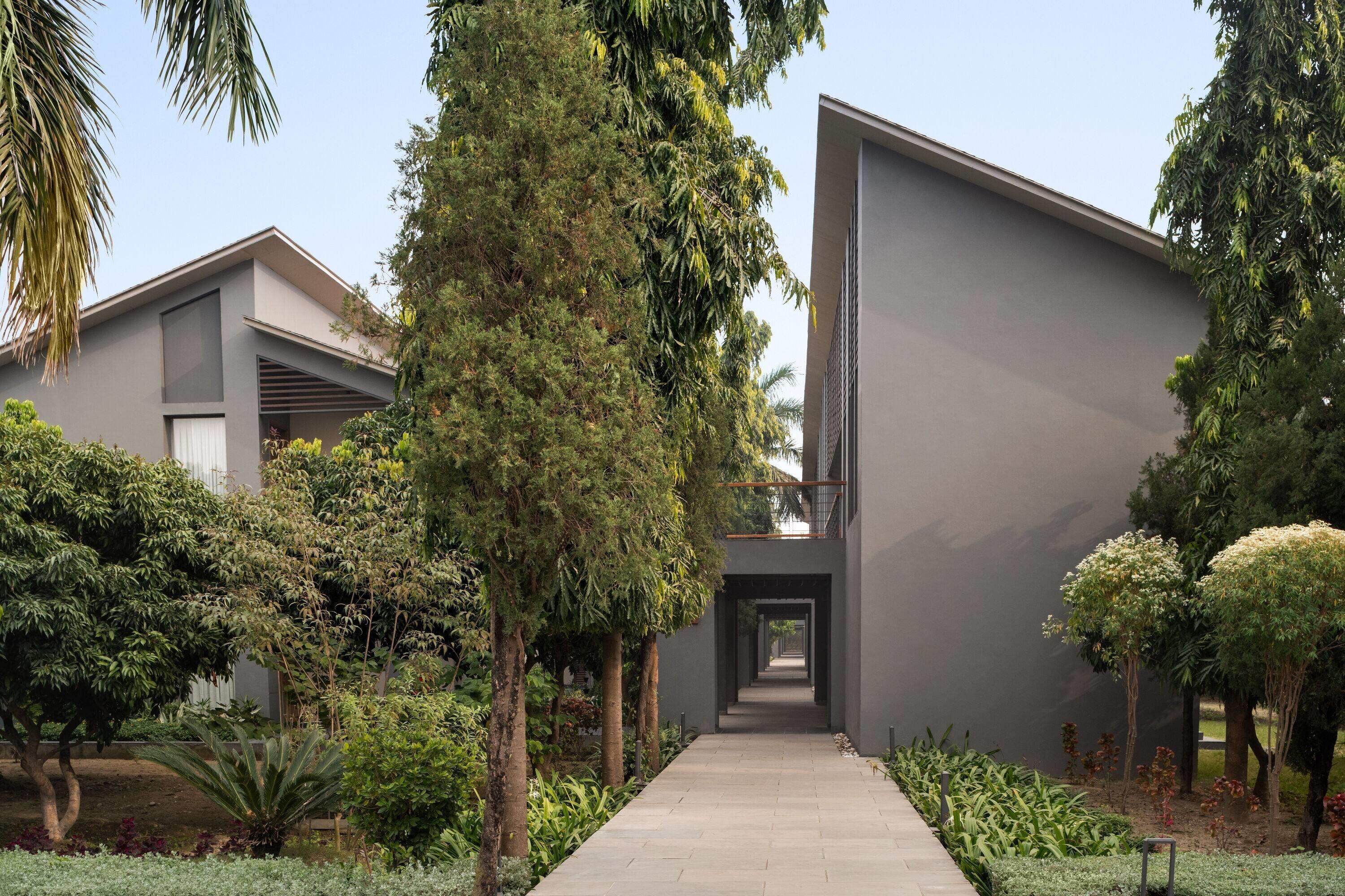A modern building with a central pathway flanked by lush greenery and trees.