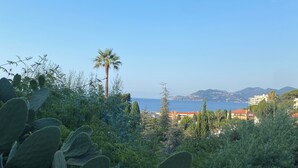 Un paysage côtier avec des cactus et des palmiers, un ciel dégagé et des bâtiments qui se dessinent à l’horizon.